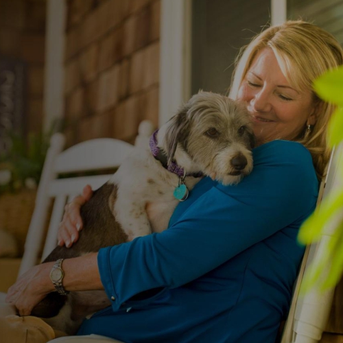 Pet Care Veterinary Medicine